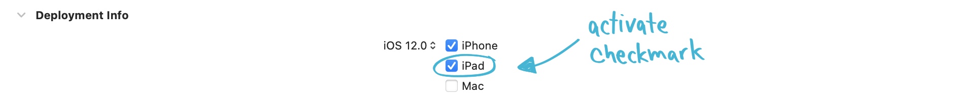 Screenshot of checkmarks to activate iPad support in Xcode