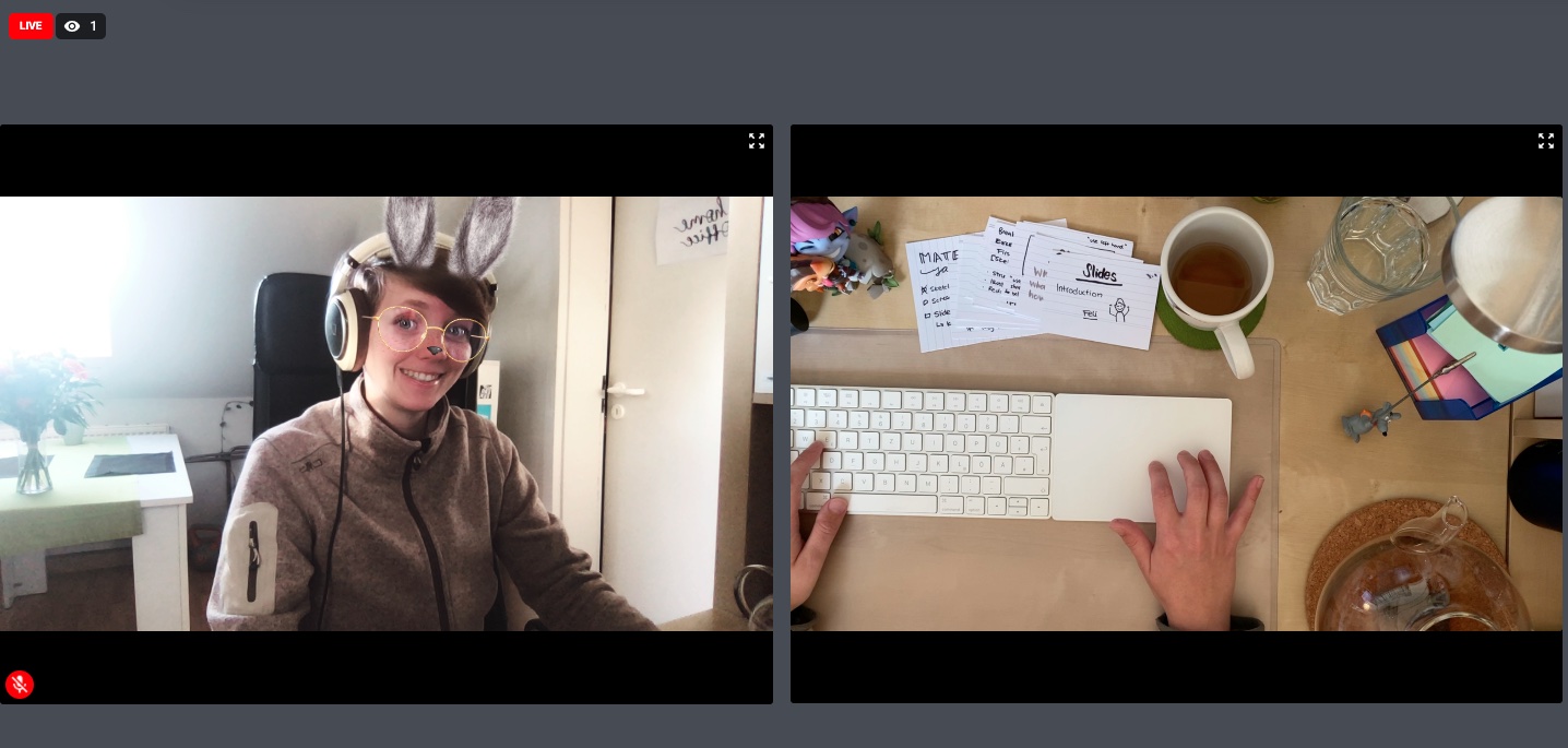 On the left, you see a woman in with bunny ears and on the right you see hands on a desk,  a keyboard, a cup of tea and some other stuff from the top